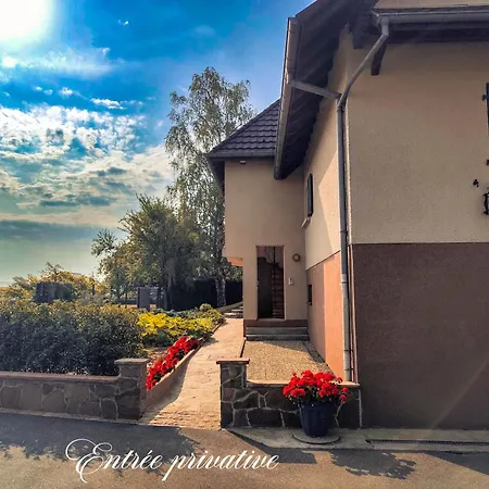Les Bouleaux Sud Alsace Дом отдыха Wolfersdorf